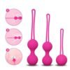 Vaginal Balls Trainer Sex Toys for Woman Safe Silicone Vaginal Chinese Balls Ben 10 Kegel Balls sex toys Tightening Exerciser 6 56675-b2ae7c.jpeg